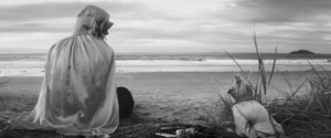 Screen shot from Bridgers' 'Savior Complex' music video showing her on the beach with a dog wearing capes.